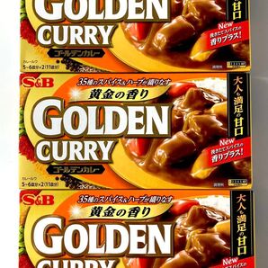 ゴールデンカレー甘口(198g) 3箱セット エスビー S&B カレールウ クーポン利用 ヘアゴム