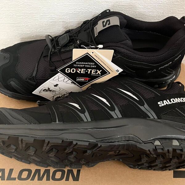 SALOMON XA PRO 3D GORETEX サロモン ゴアテックス