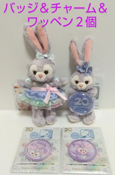 カラフルハピネス ステラルー ぬいぐるみバッジ&ぬいぐるみチャーム&ワッペン2個 東京ディズニーシー