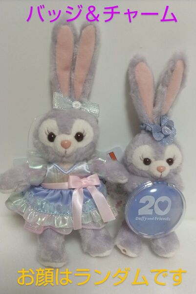 カラフルハピネス ステラルー ぬいぐるみバッジ&ぬいぐるみチャーム 東京ディズニーシー