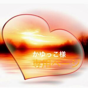 4点リールキーホルダー 皮風リールストラップ付き 【R054】シマエナガ 桜 紺色【R041】【R049】【R046】