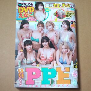 ヤングチャンピオン増刊 別冊ヤングチャンピオン 2024年6月号 DVD付 えなこ PPE東雲うみ 宮瀬なこ 猫宮あすか 花咲楓香