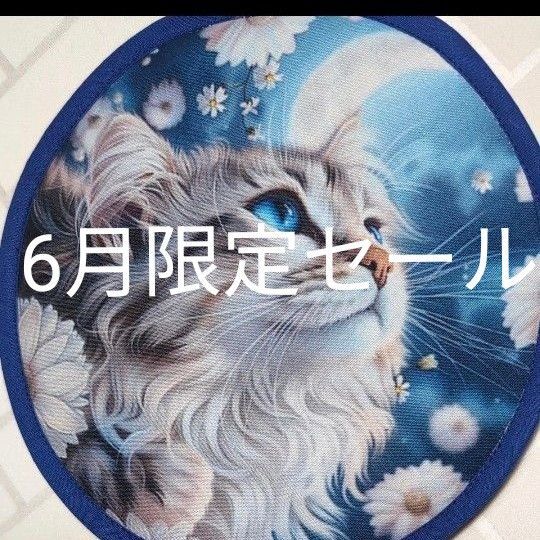 2009 マルチクロス(壁飾りタイプ) パネル生地ハンドメイド