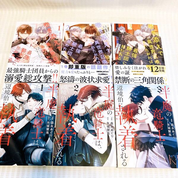 【6冊】半魔の竜騎士は、辺境伯に執着される 巻き添えで異世界召喚されたおれは、最強騎士団に拾われる 1-3巻