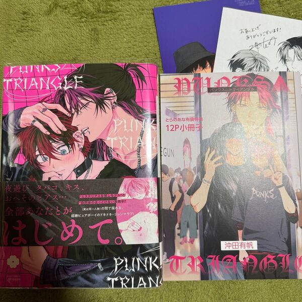 punks△triangle パンクストライアングル 沖田有帆 とらのあな 特典付き 小冊子付き ペーパー付き イラストカード付き