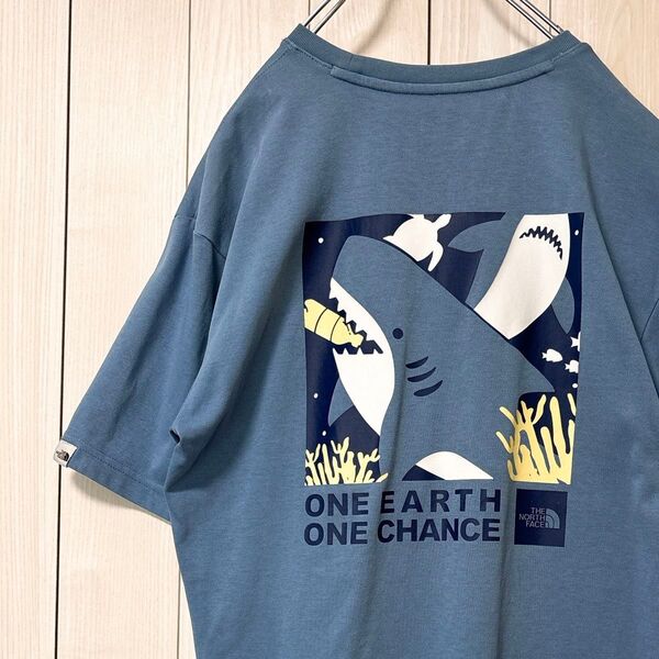 ノースフェイス サメグラフィック Tシャツ 半袖 バックプリント メンズ M ブルー