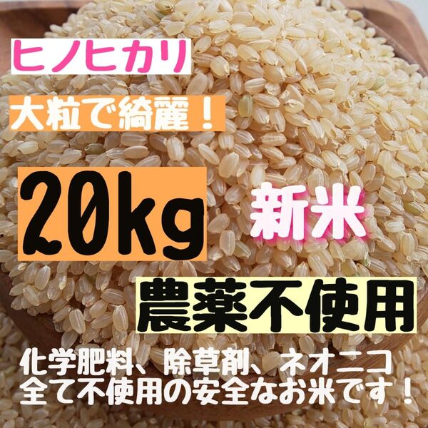 【在庫残りわずか】無農薬 化学肥料不使用 除草剤不使用 ヒノヒカリ 玄米 20kg