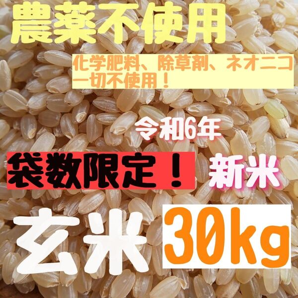 【数量限定】無農薬 化学肥料不使用 除草剤不使用 ヒノヒカリ 玄米 30kg