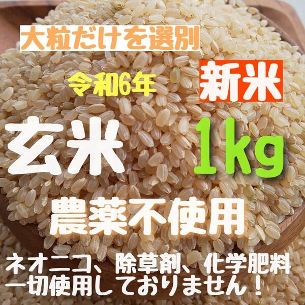 【残りわずか】無農薬 化学肥料不使用 除草剤不使用 ヒノヒカリ 玄米 1kg