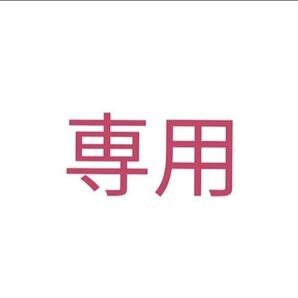 Stray Kids ランダムフォトカード レア ホロ1枚 通常1枚
