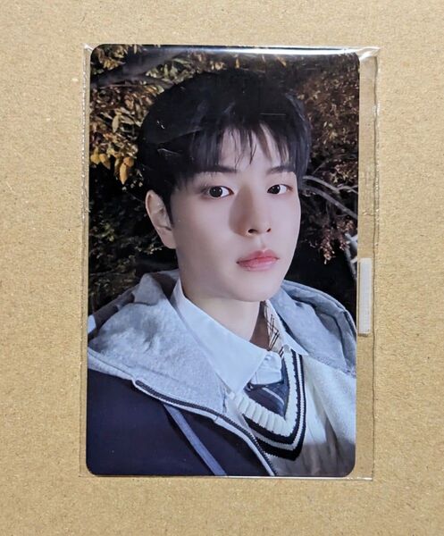 Stray Kids 合 HOP NEMO JYP特典 未開封 スンミン