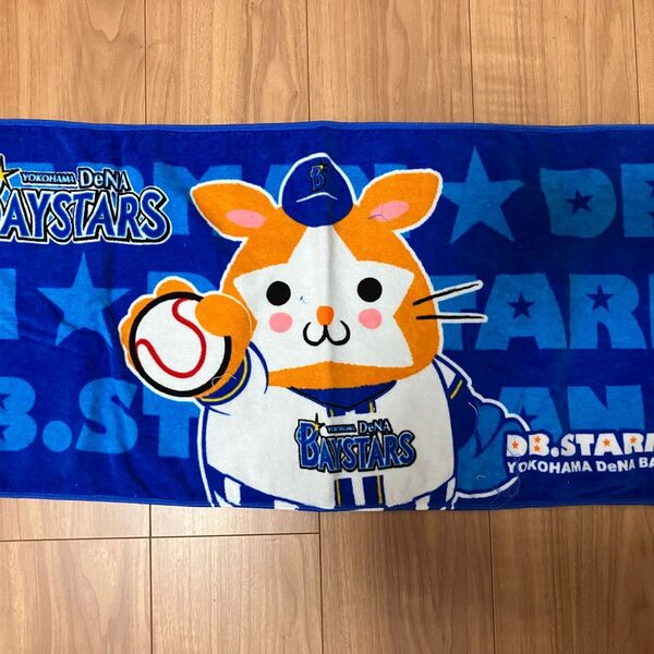 プロ野球 横浜ベイスターズ