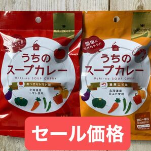 北海道産食材使用 うちのスープカレー 2人前 2種類セット 札幌の食卓 自宅