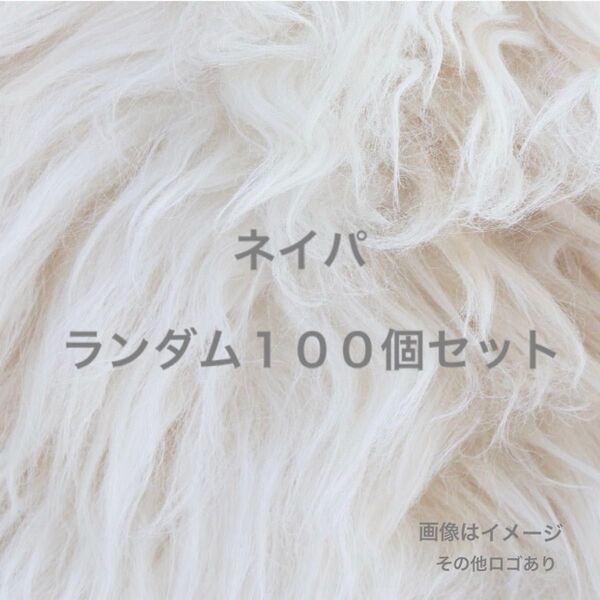 ネイパ ネイルパーツ ランダム100個セット パーツ