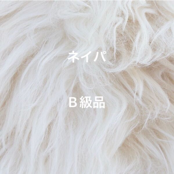 ネイルパーツ ネイパのB級品130個セット パーツ ネイル