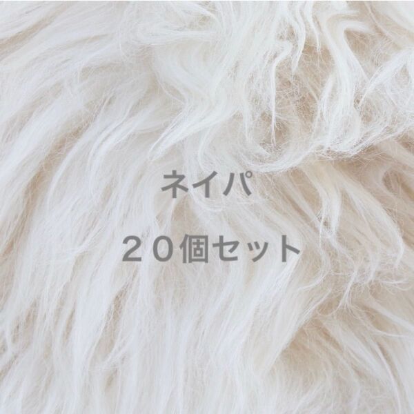 ネイパ ネイルパーツ cc 20個セット パーツ アクセサリー ラインストーン シルバー