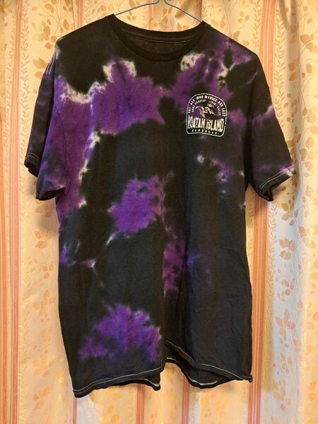 Tシャツ Lサイズ相当