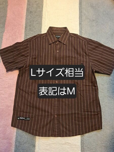INGRAY 半袖シャツ メンズ L ストライプ ブラウン