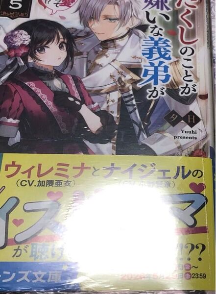 わたくしのことが大嫌いな義弟が護衛騎士になりました5