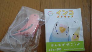 アキクサインコの値段と価格推移は 24件の売買情報を集計したアキクサインコの価格や価値の推移データを公開 アキクサインコの値段と価格推移は 24件の売買情報を集計したアキクサインコの価格や価値の推移データを公開