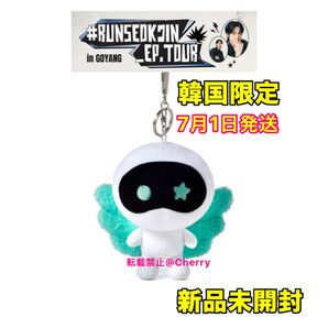 BTS ジン JIN 新品未開封 ソウルコン RUNSEOKJIN in EP.TOUR ウット うっとくん キーリング