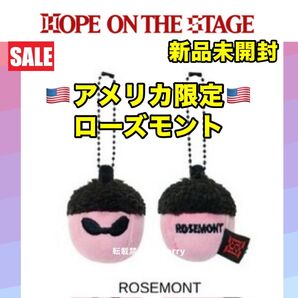 BTS jhope ホソク ホビ 展示会 ソウルコン ローズモント どんぐり アメリカ限定