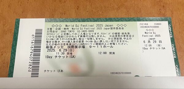 World DJ Festival 2025 チケット Japan 6/29 1 Day チケット 一般 1枚 フェス EDM