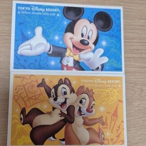 ディズニー チケット 2枚