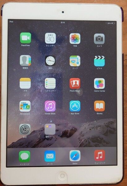 Apple iPad mini MD533J/A 64GB 本体とケースのみ