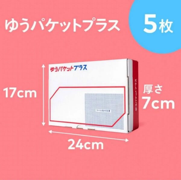 【5枚】ゆうパケットプラス専用箱 ゆうパケットプラス 専用箱