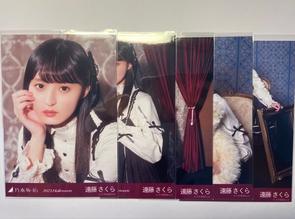 乃木坂46 個別生写真 "遠藤さくら" 2023.Halloween