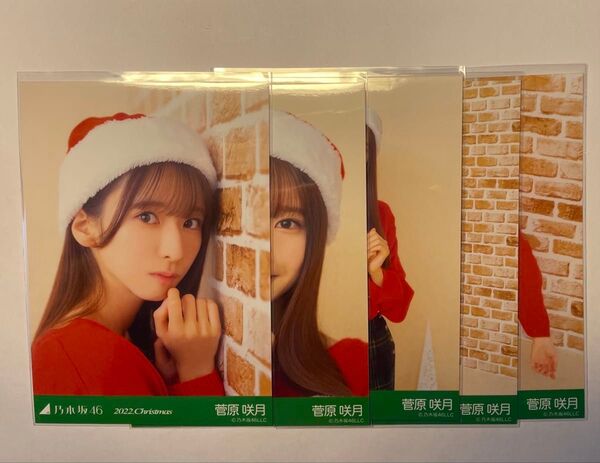 乃木坂46 個別生写真 "菅原咲月" 2022.Christmas