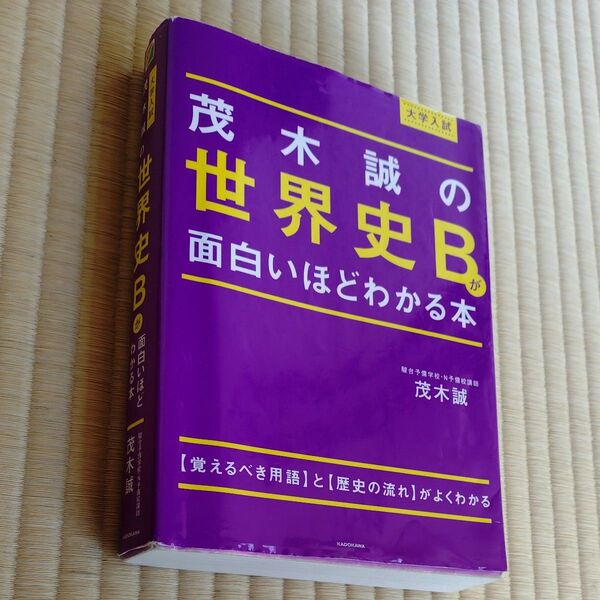 大学入試対策 茂木誠の世界史B 面白いほどわかる本