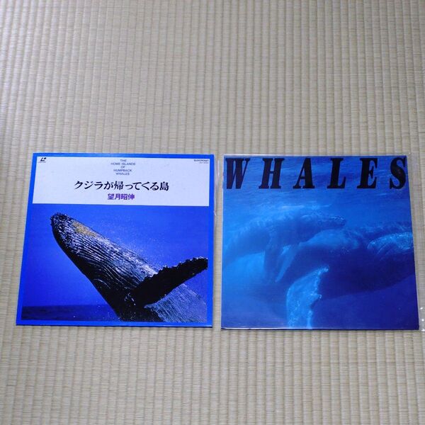 クジラが帰ってくる島/望月昭伸 & WHALES/水口博也 レーザーディスク 2枚セット