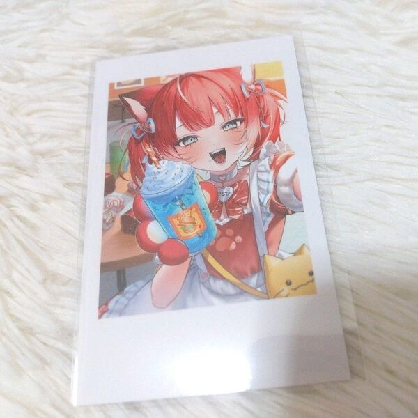 CrazyRaccoon CR セルフィーカード かるび