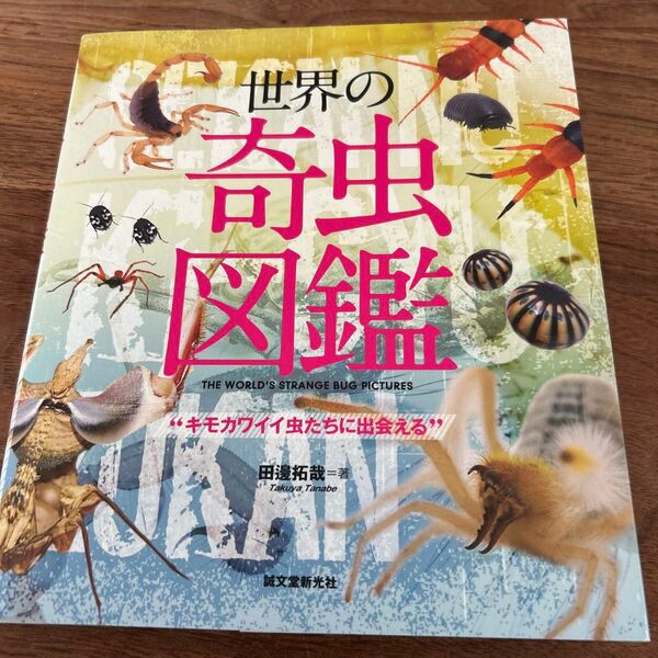 世界の奇虫図鑑 キモカワイイ虫たちに出会える (キモカワイイ虫たちに出会える) 田邊拓哉/著