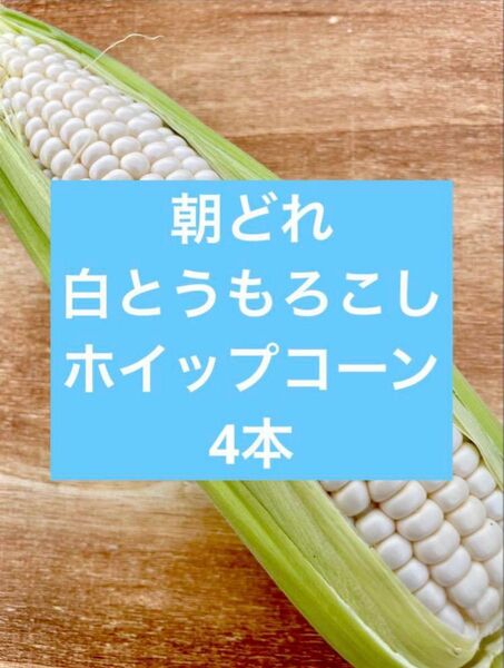 朝どれ!白とうもろこし4本 ホイップコーン