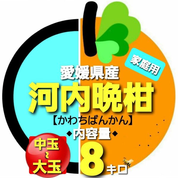 愛媛県産◇河内晩柑◆家庭用◆中玉~大玉◇内容量8キロ。