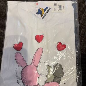 KAWS + Andy Warhol UT Lサイズ 新品