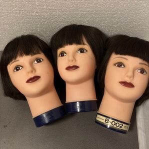 ユーカリ カットウィッグ3個セット