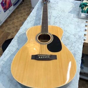 ギター Vanguard VFG-01 NA ソフトケース付き