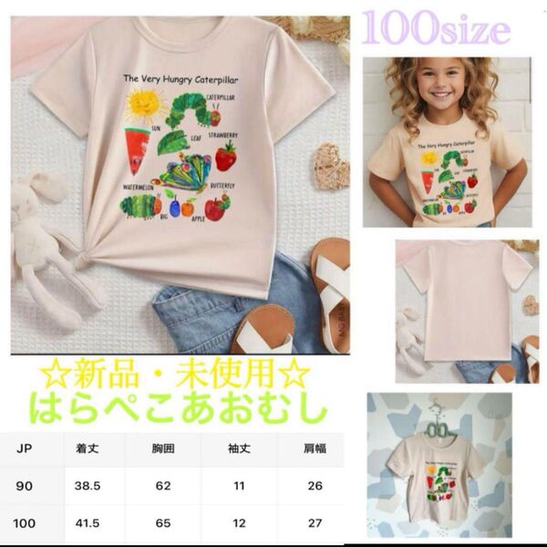 【新商品】新品・未使用 人気シリーズ はらぺこあおむし Tシャツ☆100size