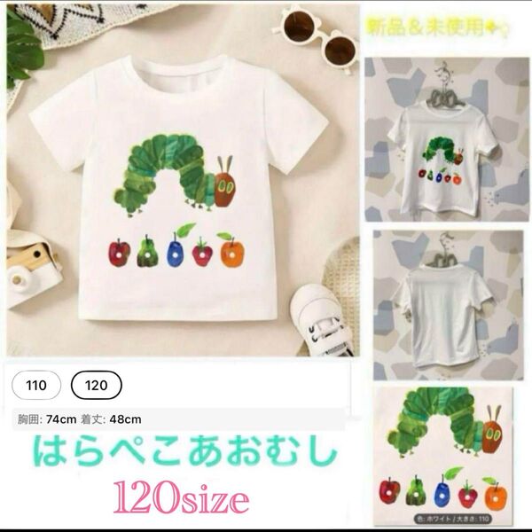 ◯新品・未使用 人気シリーズ はらぺこあおむし Tシャツ☆ 120size Tシャツ
