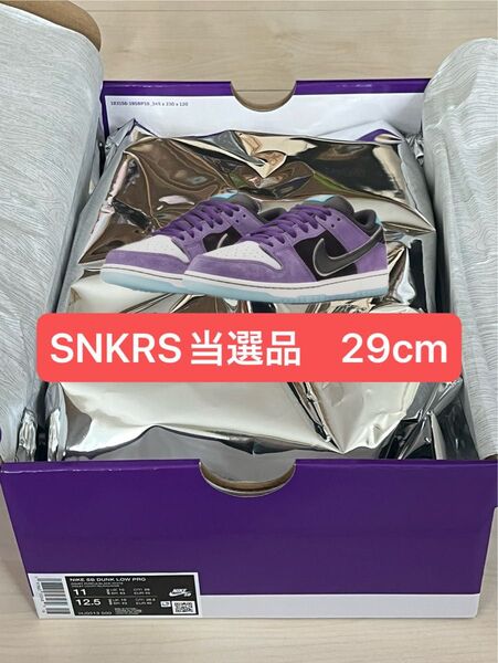Hayley Wilson × Nike SB Dunk Low Pro "Black and Court Purple"29cm