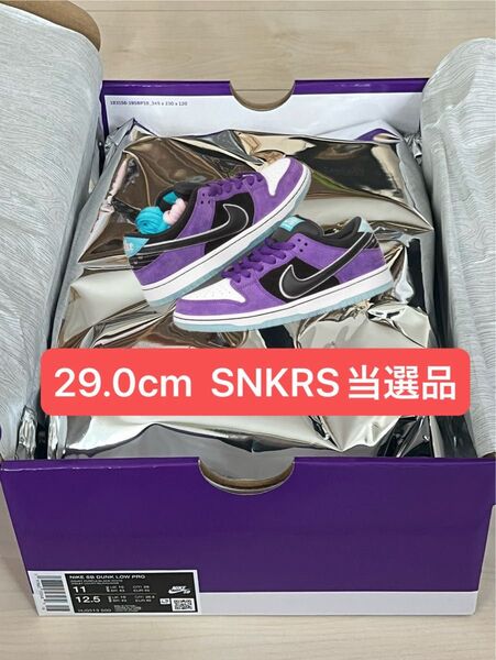 Hayley Wilson × Nike SB Dunk Low Pro "Black and Court Purple"29cm