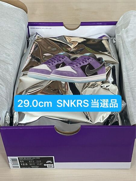 Hayley Wilson × Nike SB Dunk Low Pro "Black and Court Purple"29cm