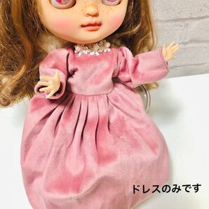 ブライス アイシードール アウトフィットドレスのみです【新品】