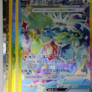 ポケカ ポケモンカード テラパゴス sar sr 得 アド オマケ 早い者勝ち コレクター コレクション 向け 汎用 対戦用