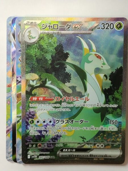 ポケモンカード ポケカ ジャローダex SAR おまけ 得 アド BW ブラックボルト ホワイトフレア 早い者勝ち