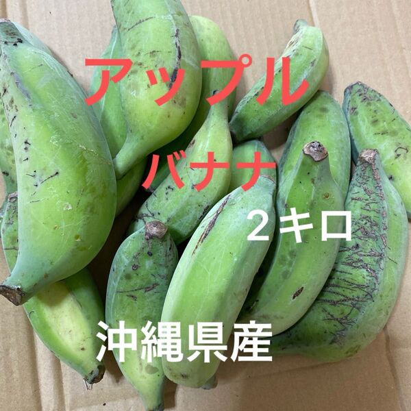アップルバナナ 2キロ 沖縄県産
